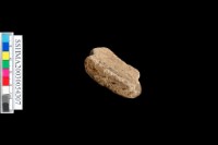 細砂陶.腹片為主藏品圖，第5張