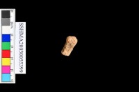 褐鐵礦藏品圖，第2張