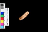 褐鐵礦藏品圖，第6張