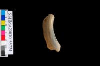 細砂陶.口緣藏品圖，第5張