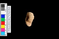 粗砂陶.陶耳藏品圖，第2張