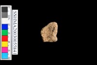 粗砂陶.陶耳藏品圖，第4張