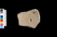 粗砂陶,口緣,陶把,陶蓋把,腹片(有紋)藏品圖，第6張