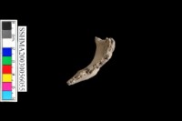 細砂陶.口緣藏品圖，第4張