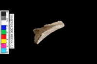 細砂陶.口緣藏品圖，第6張