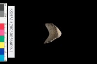 粗砂陶.腹片為主藏品圖，第4張