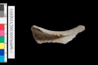 粗砂陶.腹片為主藏品圖，第5張