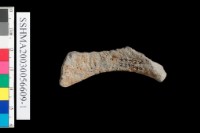 粗砂陶.腹片為主藏品圖，第6張