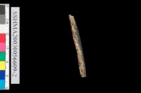 粗砂陶.腹片為主藏品圖，第8張