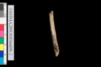 粗砂陶.腹片為主藏品圖，第10張