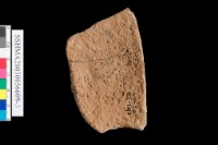 粗砂陶.腹片為主藏品圖，第15張