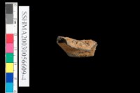 粗砂陶.腹片為主藏品圖，第23張