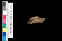 粗砂陶.腹片為主藏品圖，第24張