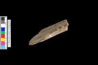 斧形石器藏品圖，第2張