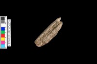 斧形石器藏品圖，第5張