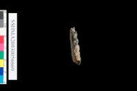 粗砂陶.腹片.口緣藏品圖，第4張