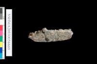 粗砂陶.腹片.口緣藏品圖，第5張