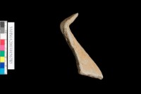 粗砂陶.口緣藏品圖，第2張