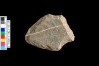 矛型殘器藏品圖，第1張