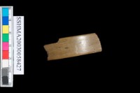 石環藏品圖，第3張