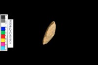 石刀藏品圖，第4張