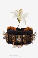 頭冠藏品圖，第5張