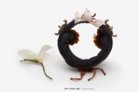 頭冠藏品圖，第8張