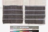 丁字褲藏品圖，第3張