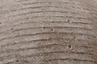 浮桶藏品圖，第12張