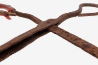 工具 鰻魚鋏藏品圖，第7張