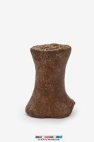 鯨掌骨藏品圖，第1張