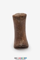 鯨掌骨藏品圖，第2張