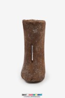 鯨掌骨藏品圖，第4張