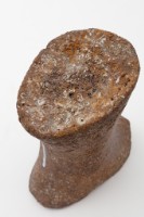 鯨掌骨藏品圖，第7張