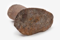 鯨掌骨藏品圖，第8張
