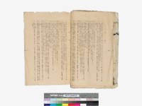 溪洲底下崁(立囑書冊)藏品圖，第81張