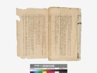 溪洲底下崁(立囑書冊)藏品圖，第82張