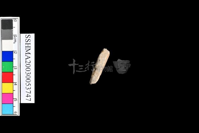 細砂陶.腹片藏品圖，第10張