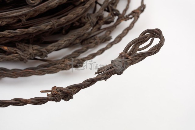 籐陷阱藏品圖，第3張