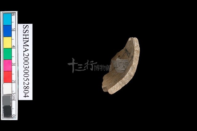 扁平體石環藏品圖，第2張