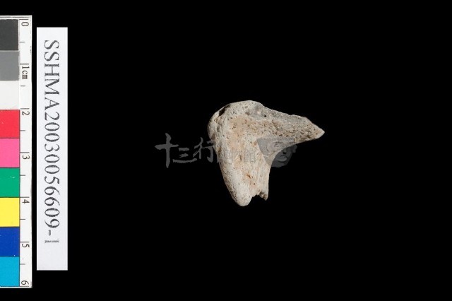 粗砂陶.腹片為主藏品圖，第2張