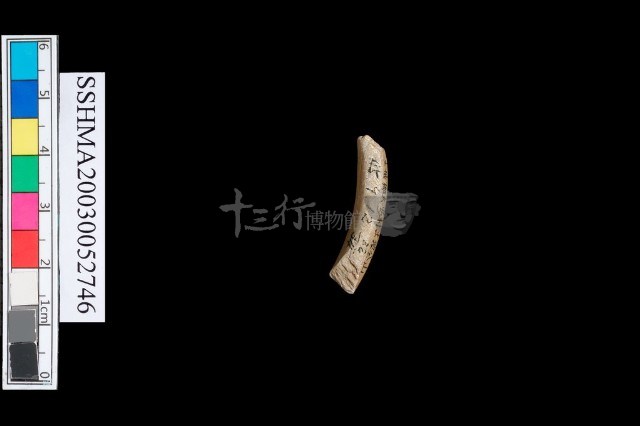 圓體石環藏品圖，第1張