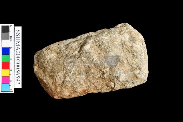 打制石器藏品圖，第1張
