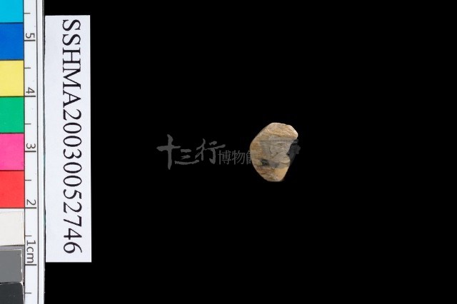 圓體石環藏品圖，第5張