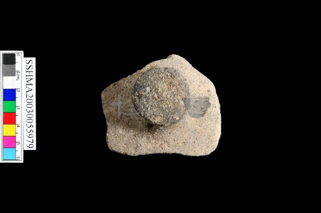 粗砂陶,口緣,陶把,陶蓋把,腹片(有紋)藏品圖，第5張