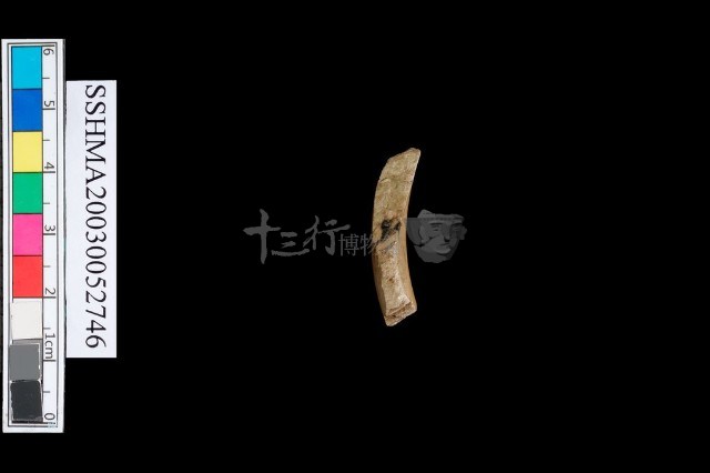 圓體石環藏品圖，第3張
