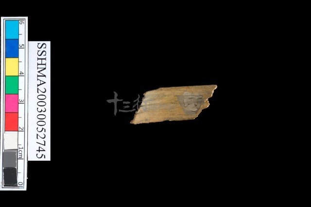 扁平體石環藏品圖，第3張