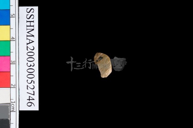 圓體石環藏品圖，第6張