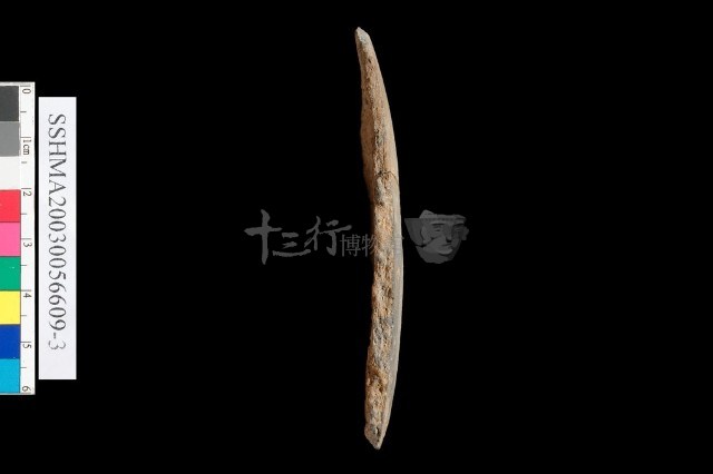 粗砂陶.腹片為主藏品圖，第14張