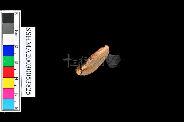 細砂陶.腹片為主藏品圖，第4張